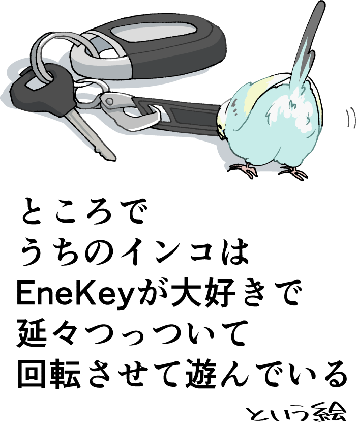 ENEOSのEneKey(エネキー)のイメージ