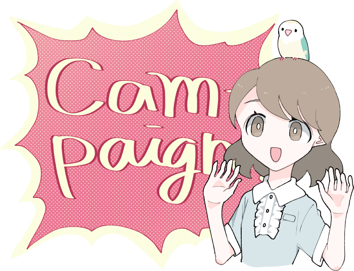 現在実施されているANAアメックスの入会キャンペーン