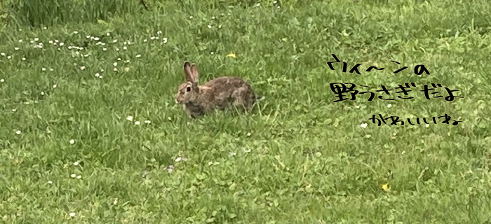 海外旅行や留学・出張等におすすめのクレジットカードのまとめ